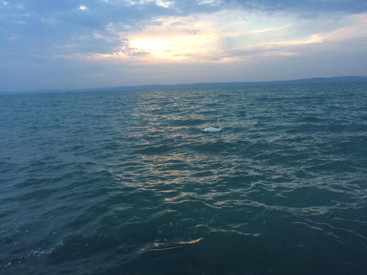 Pitypang Apartman Siófok Exteriör bild